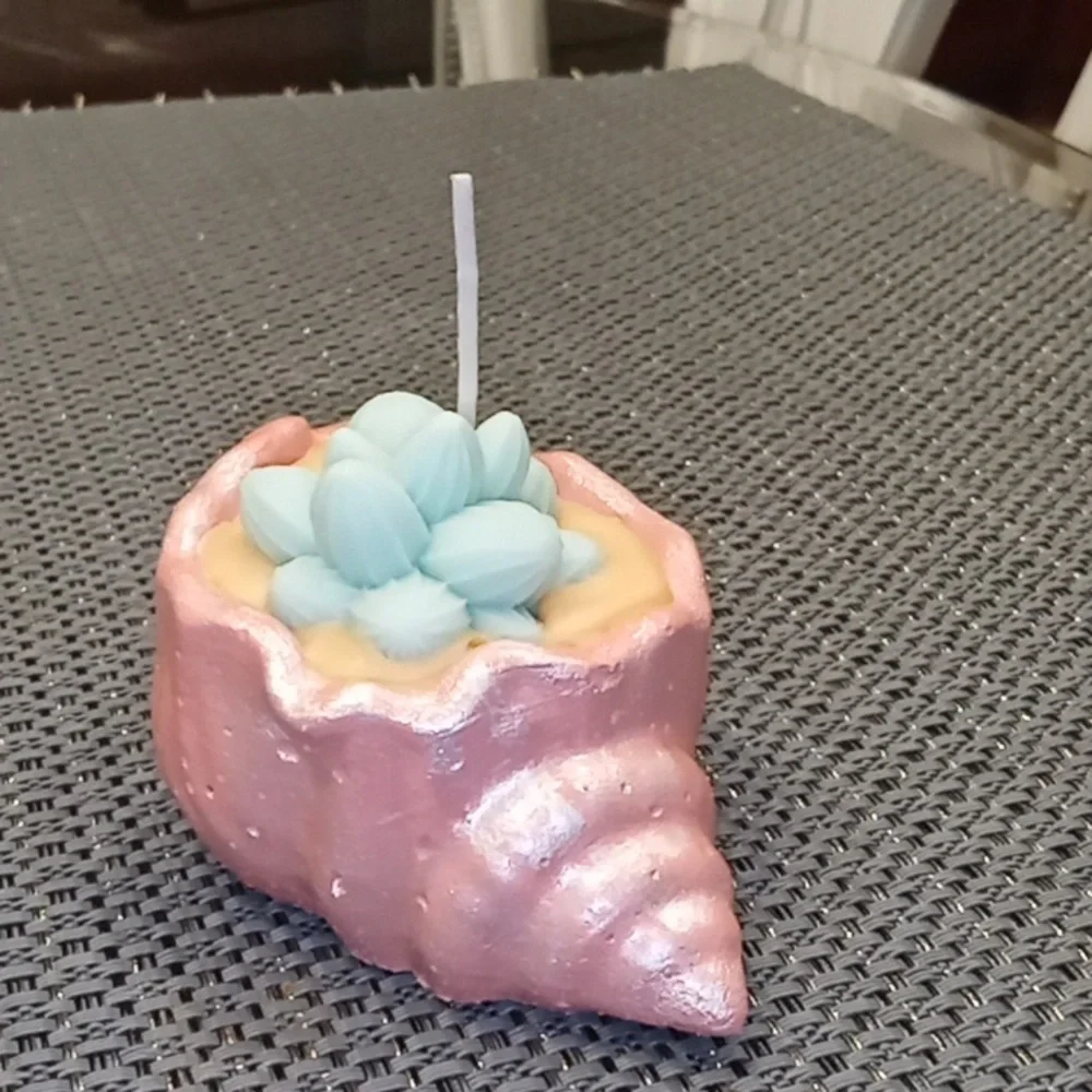 Frosted Peach Concrete Seashell Candle